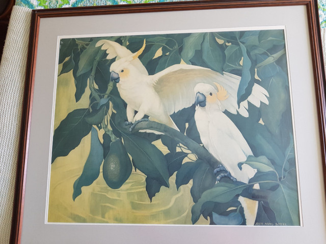 Cockatoos and Avocado in Arts & Collectibles in Mississauga / Peel Region - Image 2