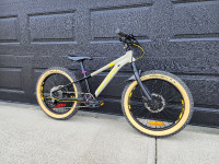 Rocky Mountain Growler JR20 Kids Bike - Custom Build