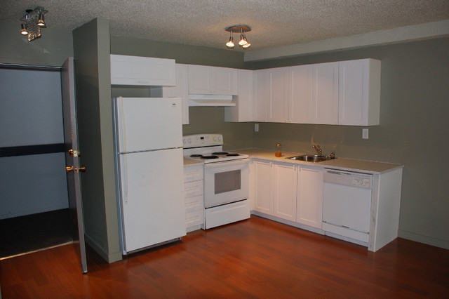 Newly Renovated South East Edmonton Apartment Condo for Sale in Condos for Sale in Edmonton - Image 3
