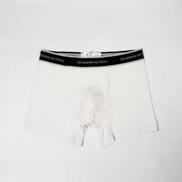 Bohemian Retroci Men's Underwear Sport Boxers set of 4 in Men's in Edmonton - Image 6
