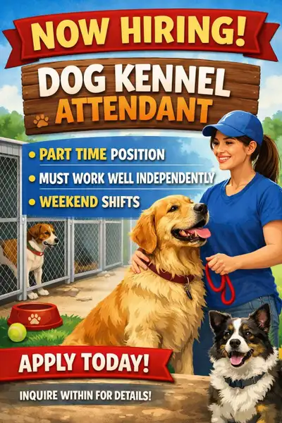 Dog Kennel Attendant, View more