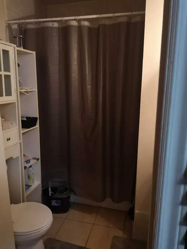 appartement a louer