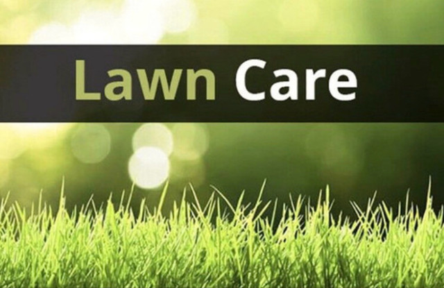 Grass cutting  in Lawn, Tree Maintenance & Eavestrough in Windsor Region