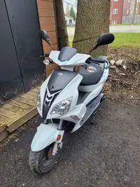 Scooter ADLY GTO 2022