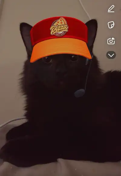 I need a family and come with free neuter , View more