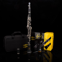 New clarinet