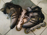 Inline skates rollerblades