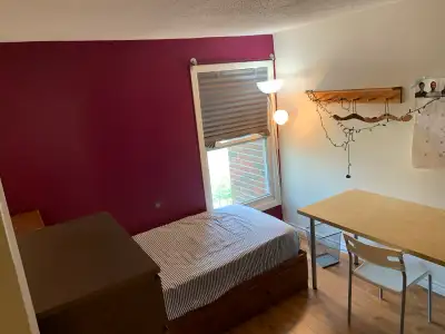 Great student rental. Close to amenities. Everything included! Text me or call 416.937.0355