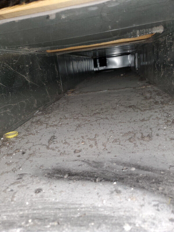 Air Duct Cleaning From $99.99 in Cleaners & Cleaning in Mississauga / Peel Region - Image 4