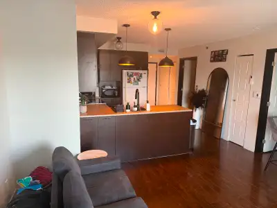 pictures of the unit