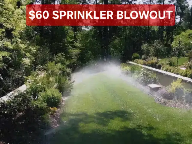 COMPLETE YARD CARE & IRRIGATION SERVICES $60 BLOWOUTS)