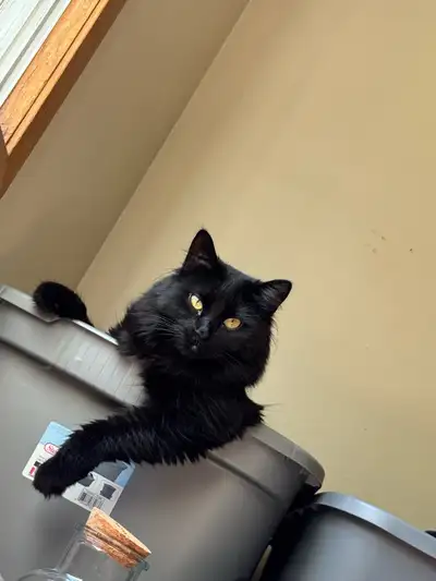 Looking for a 2-Bedroom Rental – Pet Friendly