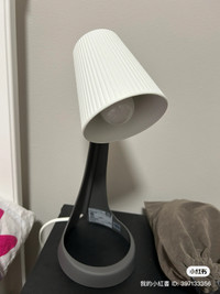 Table lamp with bulb
