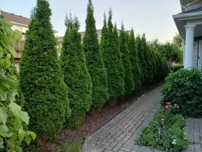 • Location: Situated in a prime neighborhood • Layout: o 1 Bedroom o 1 Bathroom o Living Room o Open...