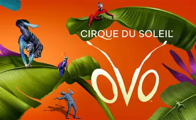 Cirque du Soleil Toronto tickets, View more
