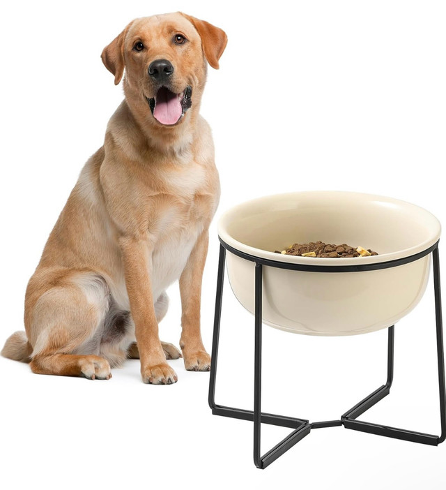 Elevated Large Dog Food Bowl: Beige in Accessories in Markham / York Region