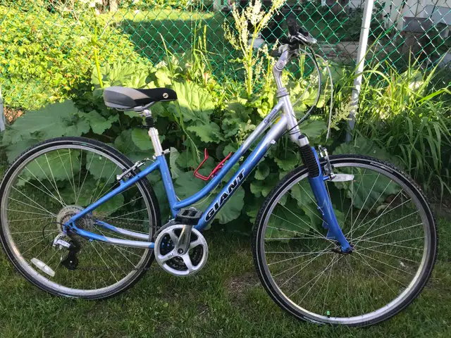 Cypress by Giant bicycle, Orleans in Cruiser, Commuter & Hybrid in Ottawa - Image 3