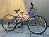 Purple Next Challenger Youth’s Bike