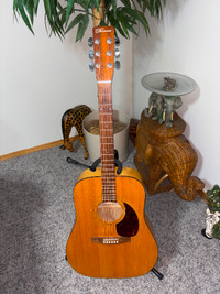 Norman B30 Acoustic guitar and case