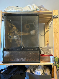 Reptile tank with Automatic Misting System