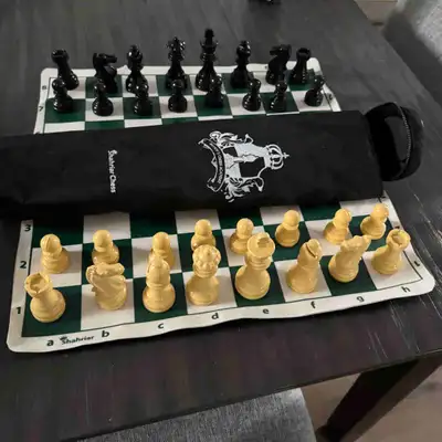 High quality chess set that comes with the board, pieces and a bag you can carry around