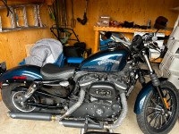 Harley Davidson Iron Sportster 883