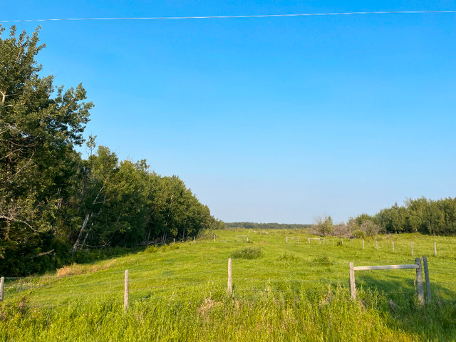 120.92 Acres near Sangudo in Land for Sale in Edmonton - Image 4