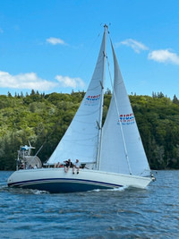 Learn To Sail/Cruise  with Sail Canada Certification