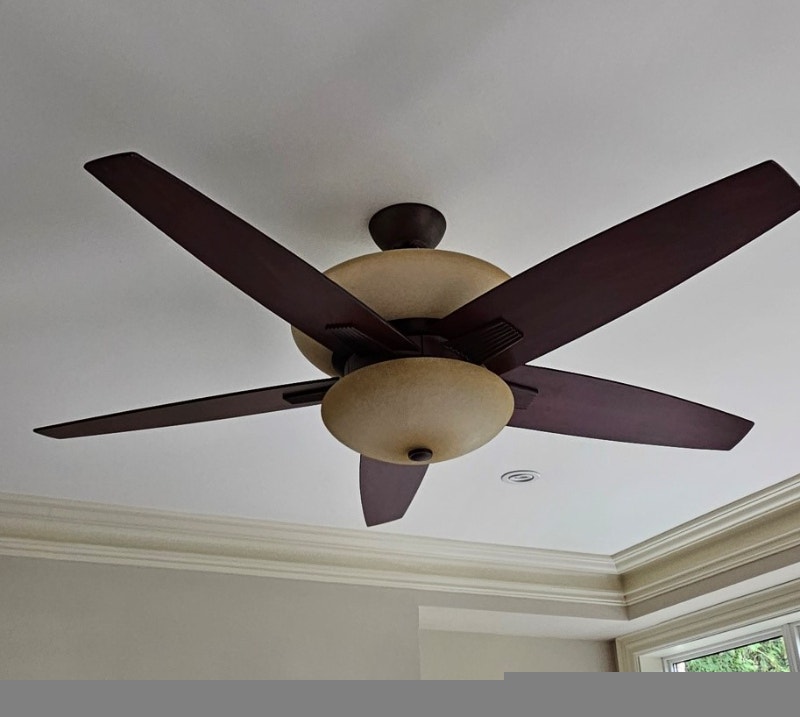 Ceiling Fan with Lights and Natural Wood Blades Indoor Lighting