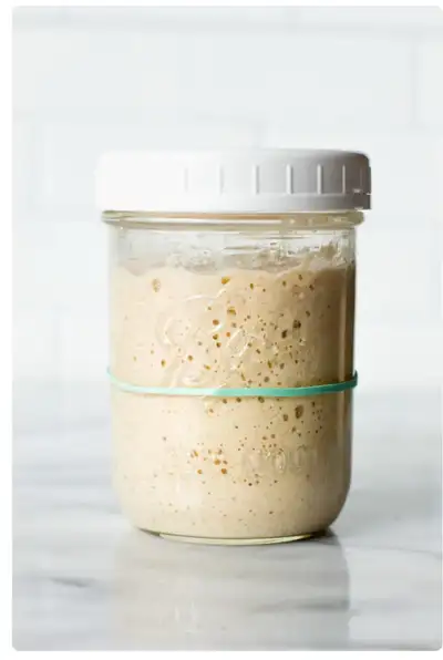 Organic Sourdough Starter, View more