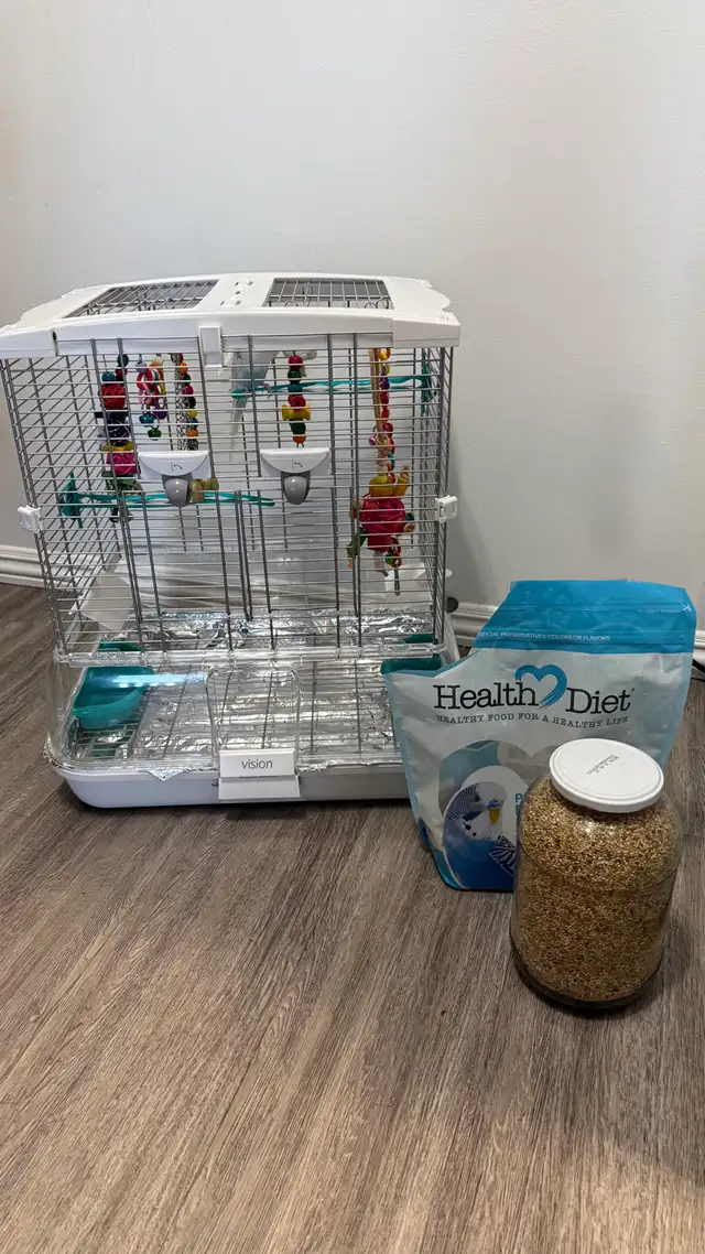 Two parrots for sale in Birds for Rehoming in Swift Current - Image 3