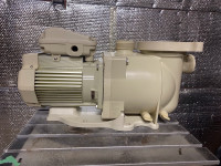 SWIMMING POOL PUMPS AND MOTORS FOR SALE