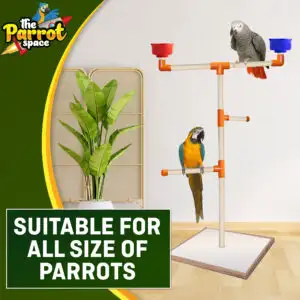 Large Wooden Play Gym For All Size Parrots, View more