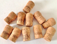 Collection Projet créatif Lot de 10 bouchons de liège Champagne