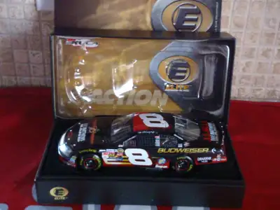 Dale Earnhardt Jr, View more