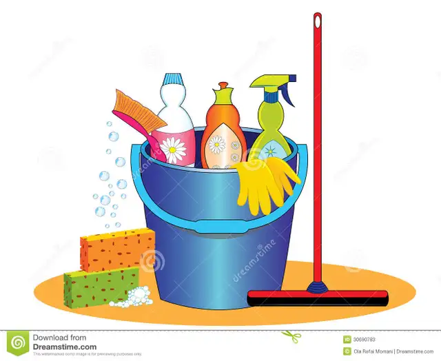 Reliable House Cleaner