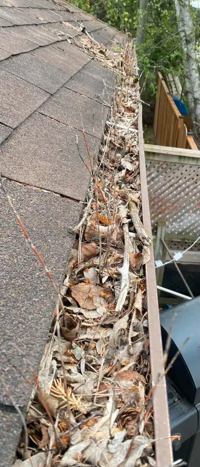 Protect Your Home—Top-to-Bottom! Are your gutters overflowing, sagging, or clogged with leaves and d...
