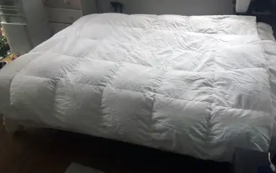 Goose Down Duvet Queen Size, View more