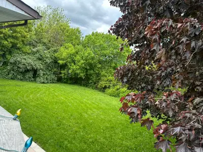 House for Rent in Bowmanville on Bowmanville Ave - 401 & GO
