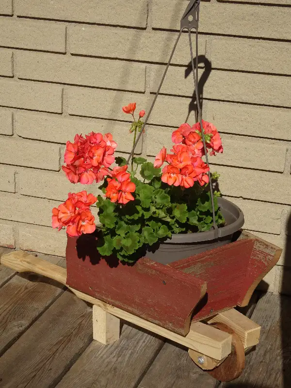 Wheelbarrow Lawn Ornament Planter Made of Wood in Outdoor Décor in Markham / York Region - Image 2