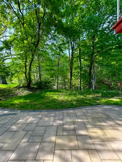 Best Deal! Must See! Very Bright! Well Furnished! Free Internet! Free Parking! Unique Location! Very...