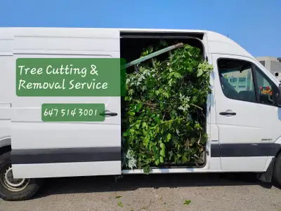 Tree Removal services Branch Trimming # 6475143001, View more