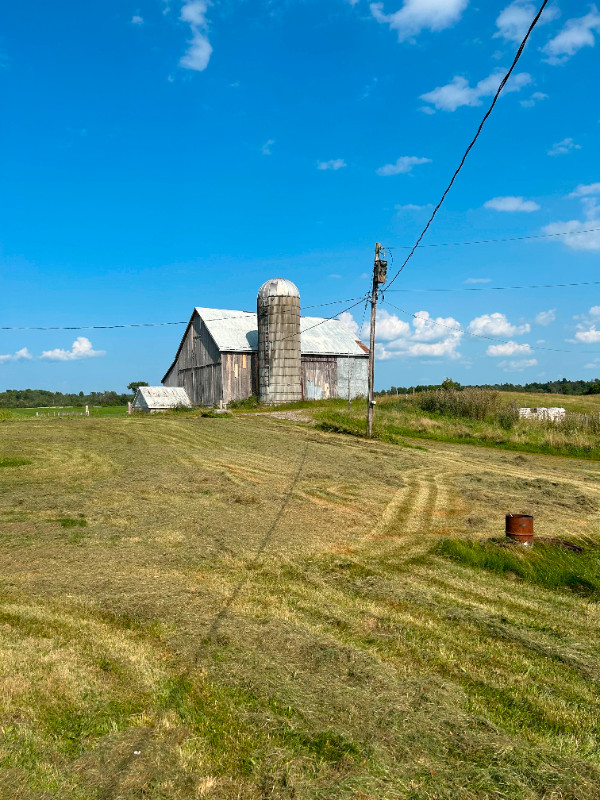 Barn For Rent at Norwood,ON Commercial & Office Space for Rent