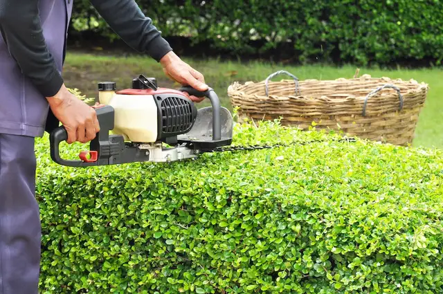 Outdoor Yardwork