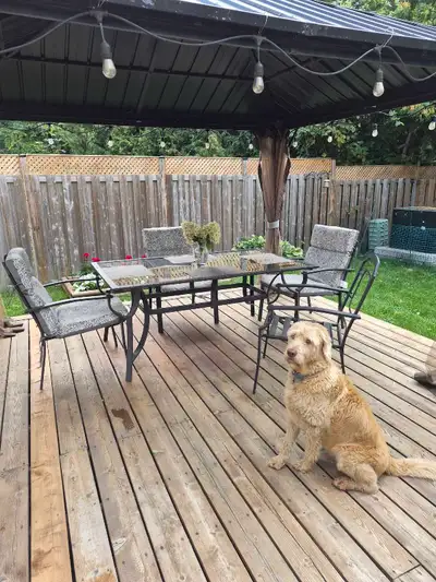 For Sale: Patio table 5'6"X3'4" metal frame with glass top, has opening for umbrella. Four metal cha...