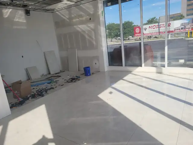 Professional Construction & Renovation Services518967607292088323