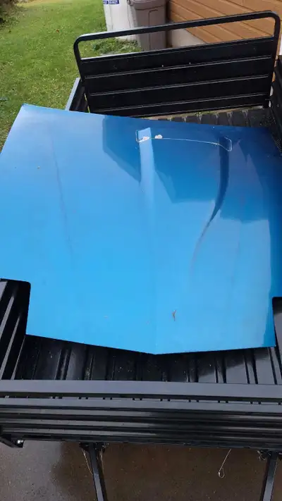 Fits 82- 92 firebird / trans am / gta. Blue, has oem scoop. Couple rust spots peaking through. Selli...