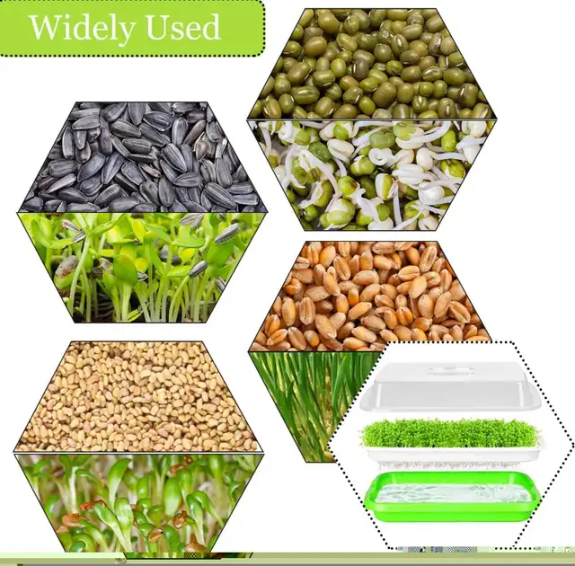 Seed Sprouter Tray with Cover Double Layer Growing kit | Plants ...