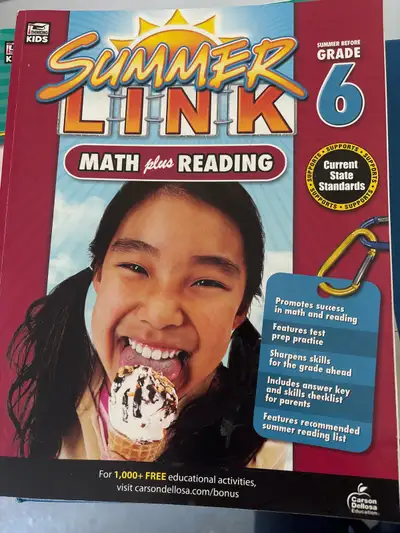 summer link math plus reading grade 6, View more