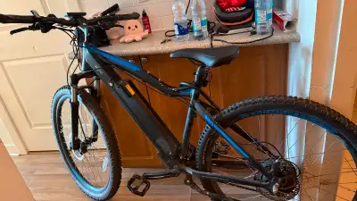 AMEGO E-Bike, View more